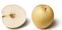 Chinese pear