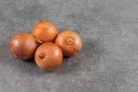 Spanish onion