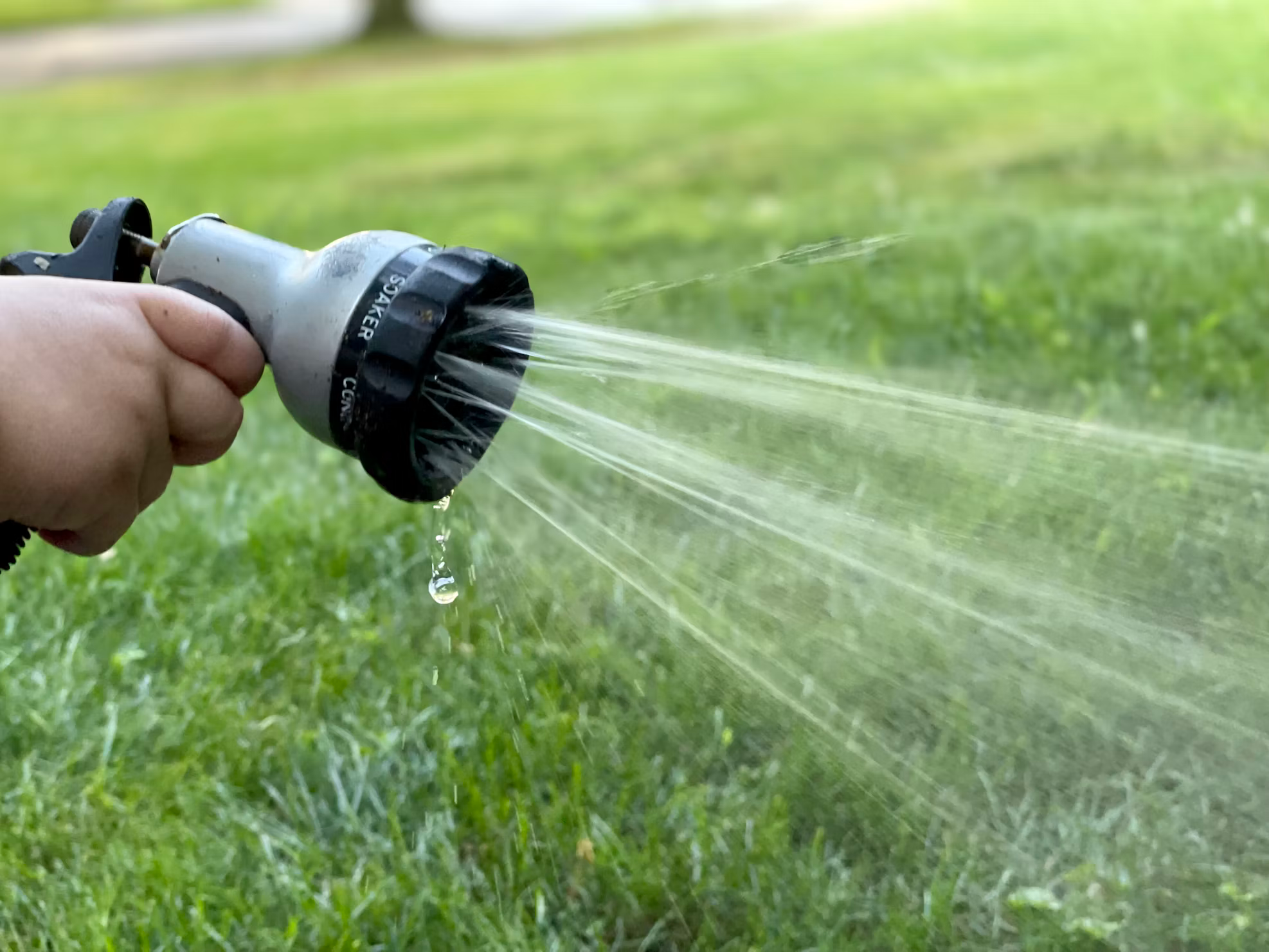 Grass watering