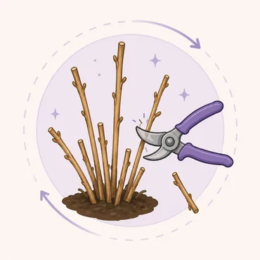 Rejuvenate Old Canes