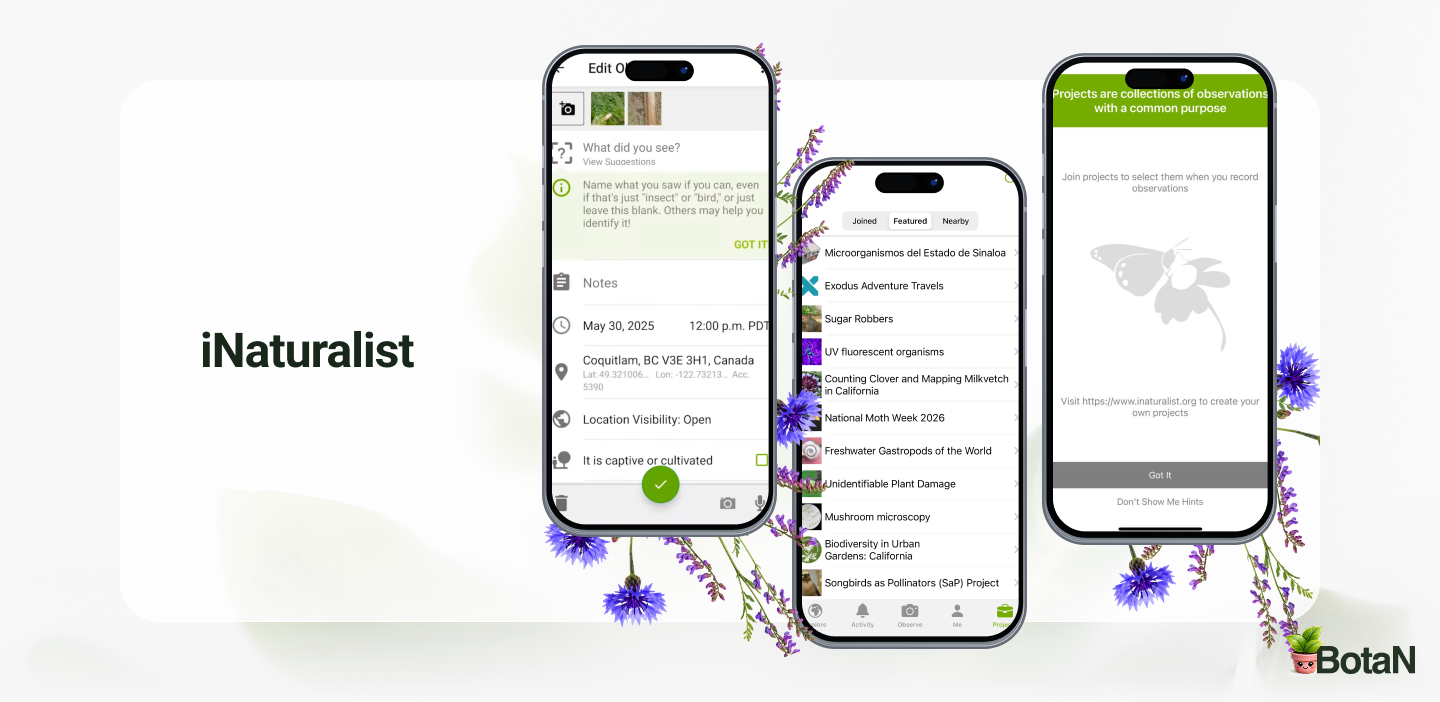 Best Plant Identification Apps - iNaturalist 