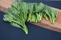 Brassica oleracea var. alboglabra plant