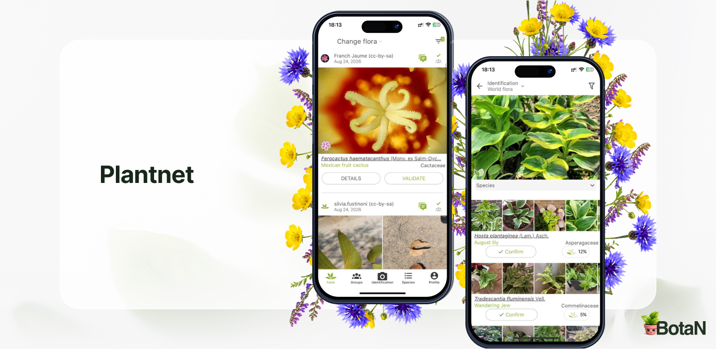 Best Gardening Apps - Plantnet