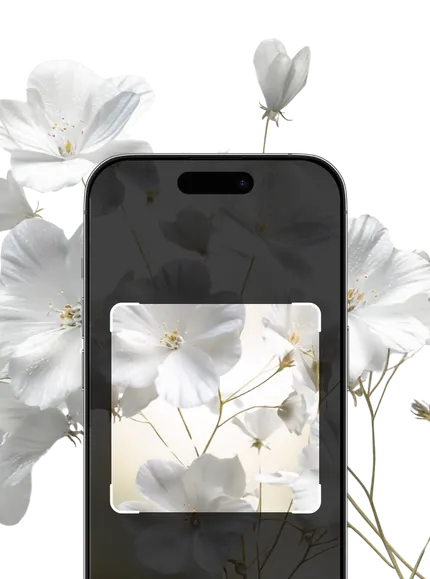 White Flower Plant Identification – Hero Mobile