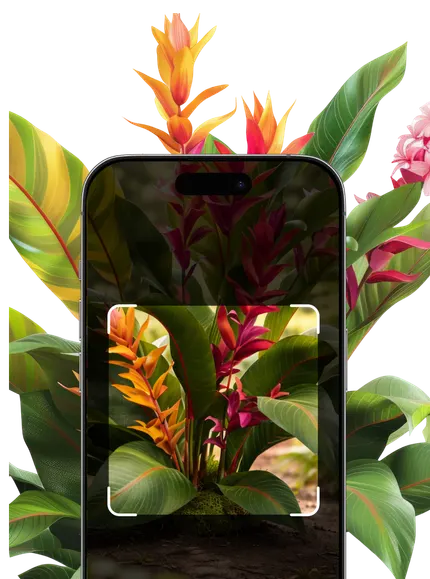 Tropical Plant Identification – Hero Mobile