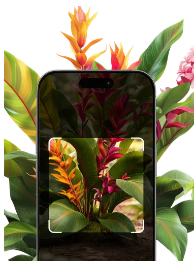 Tropical Plant Identification – Hero Mobile