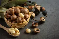 macadamia nut