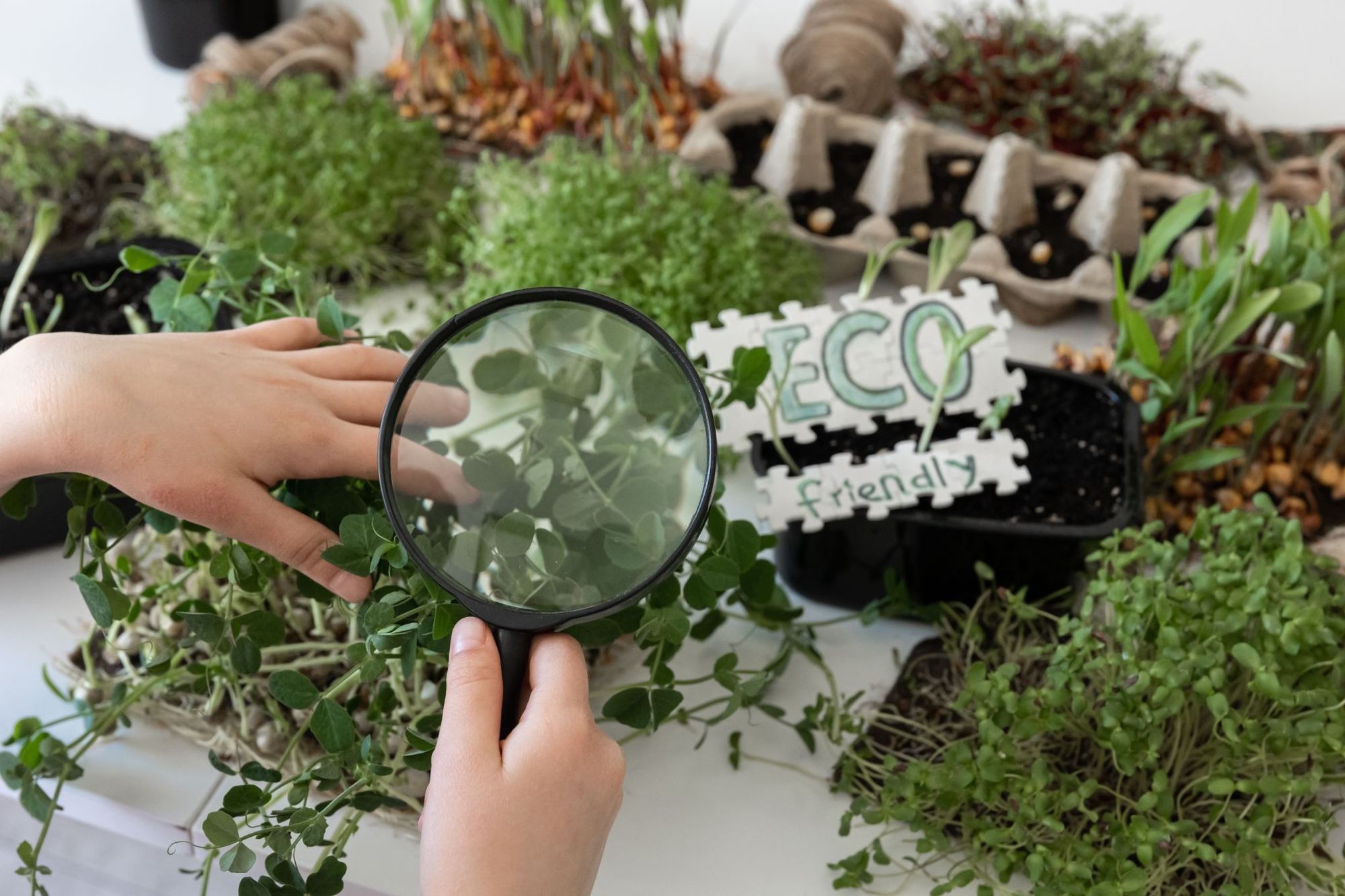 Best Plant Identification Apps - Price