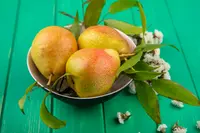 Bartlett Pear