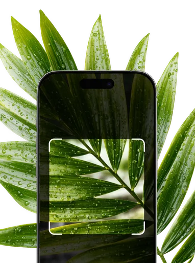 Plant Leaf Identification – Hero Mobile