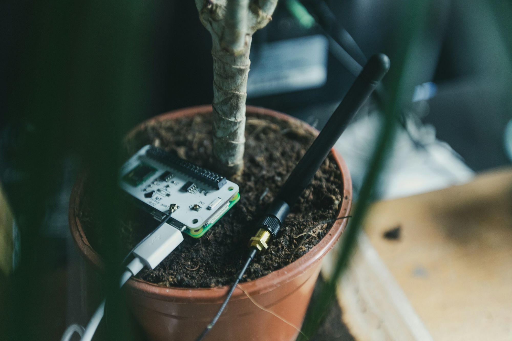 Moisture Meter Instructions