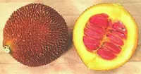balsampear