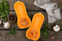 Butternut Squash (Cucurbita moschata 'Butternut 661') plant