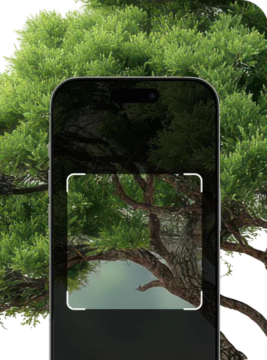 Tree Identifier – Hero Mobile