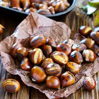 Chinese chestnut (Castanea mollissima) plant