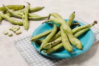 Broad Bean