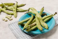 Broad Bean