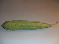sinkwa towelsponge