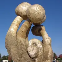 Gasteroid Agaricus