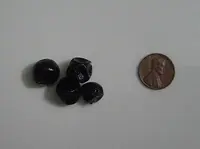 guavaberry