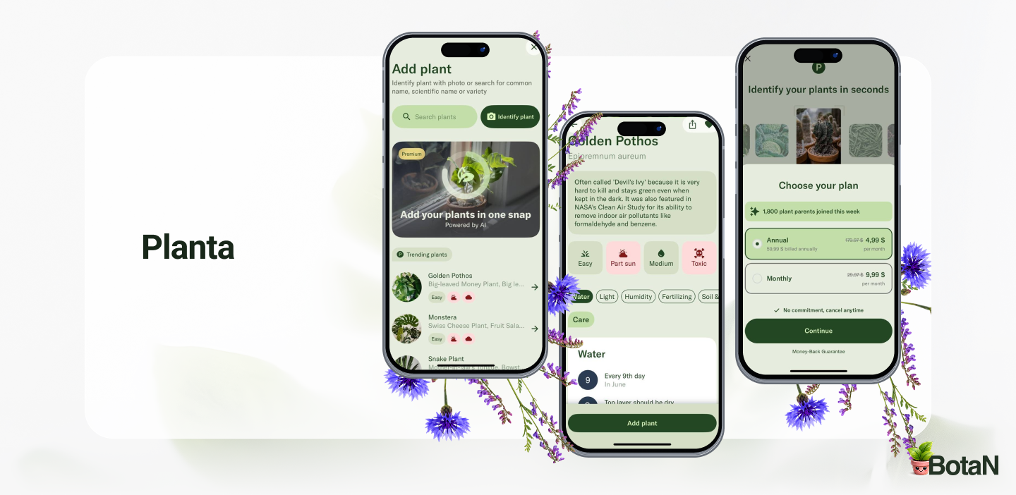 Best Plant Identification Apps - Planta
