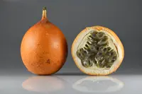 sweet granadilla (Passiflora ligularis) plant
