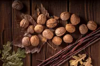 Northern California walnut