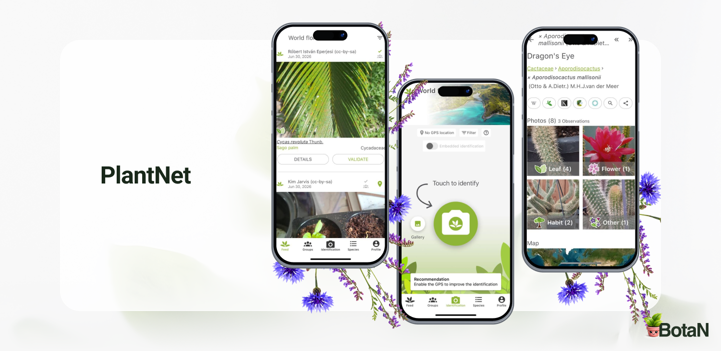 Best Plant Identification Apps - PlantNet 