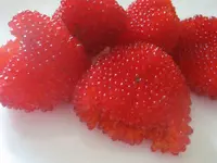 strawberry raspberry (Rubus illecebrosus) plant