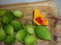 balsampear