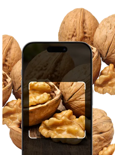 Nut Identification – Hero Mobile