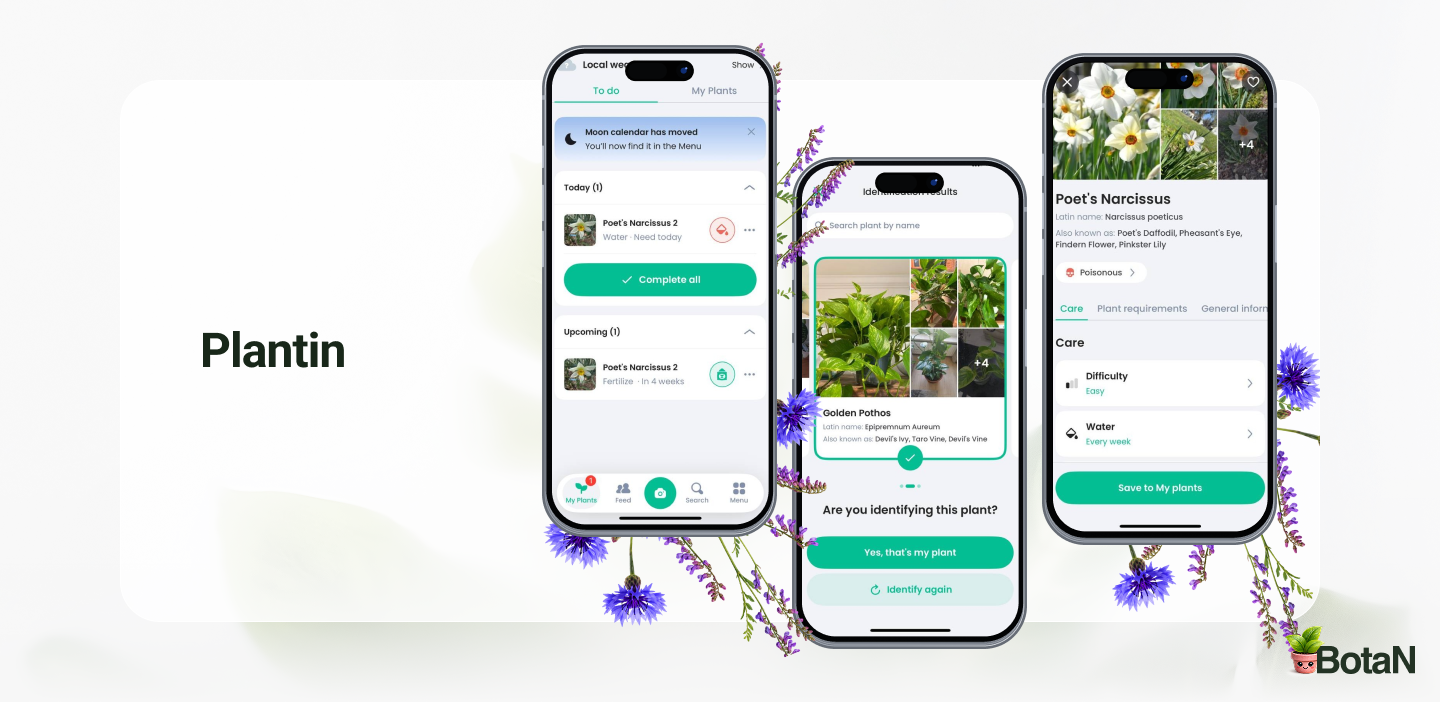Best Plant Identification Apps - PlantIn