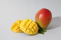 mango tree