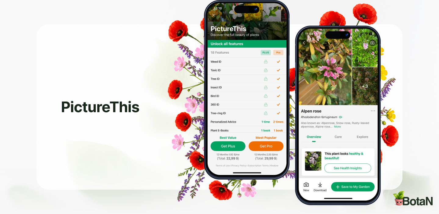 Best Gardening Apps - PictureThis