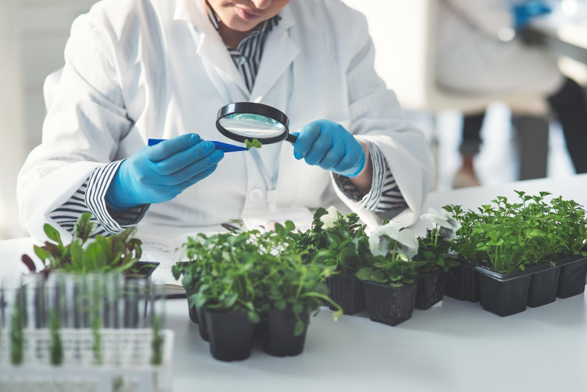 From Lab to Field