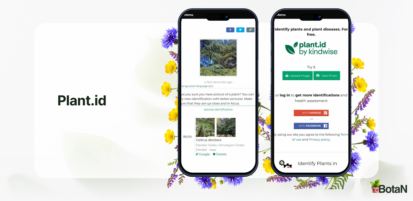 Best Gardening Apps - Plant.id