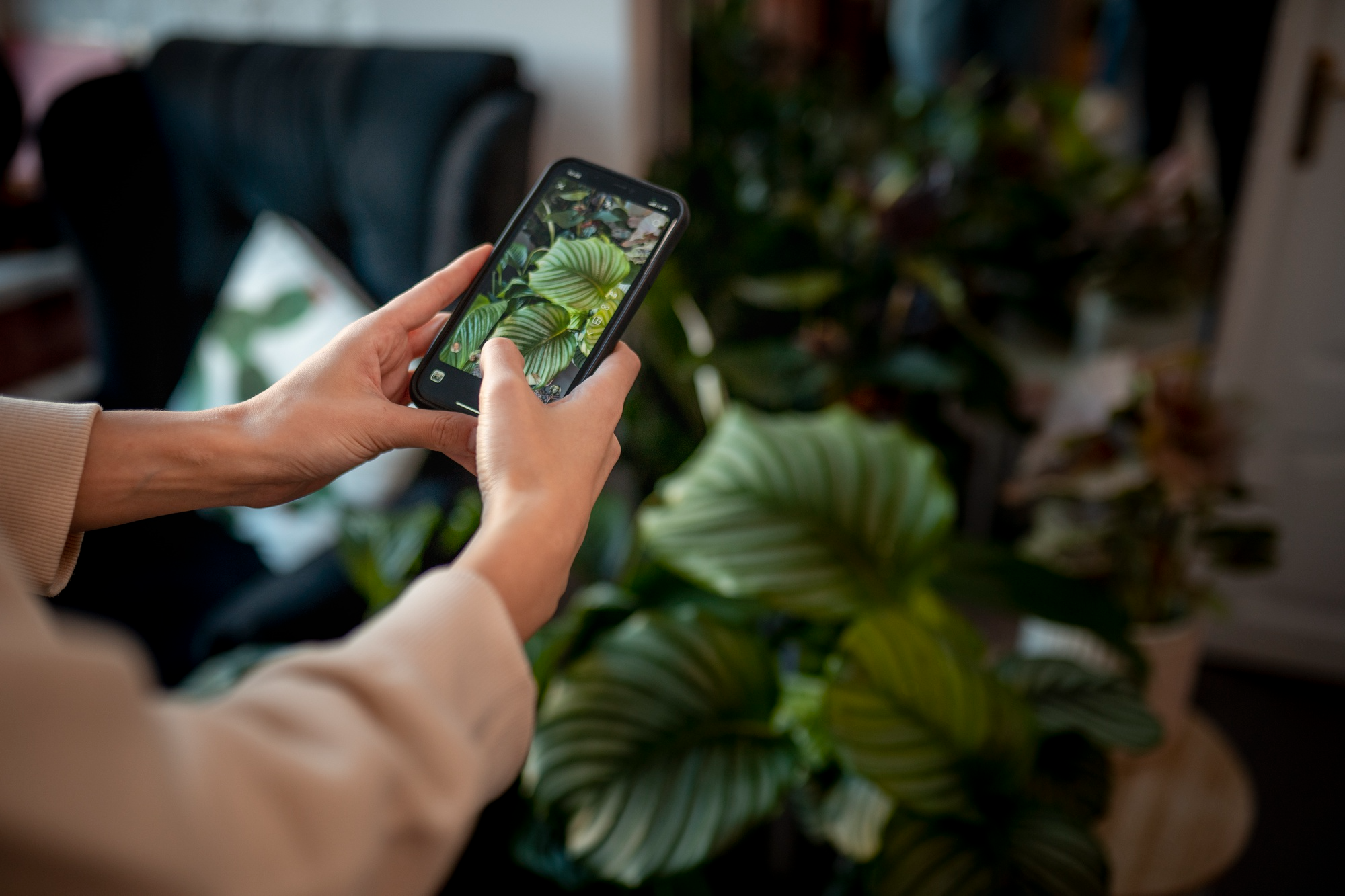 plant app