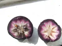 star apple