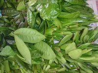 allspice