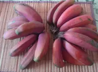 Cavendish banana
