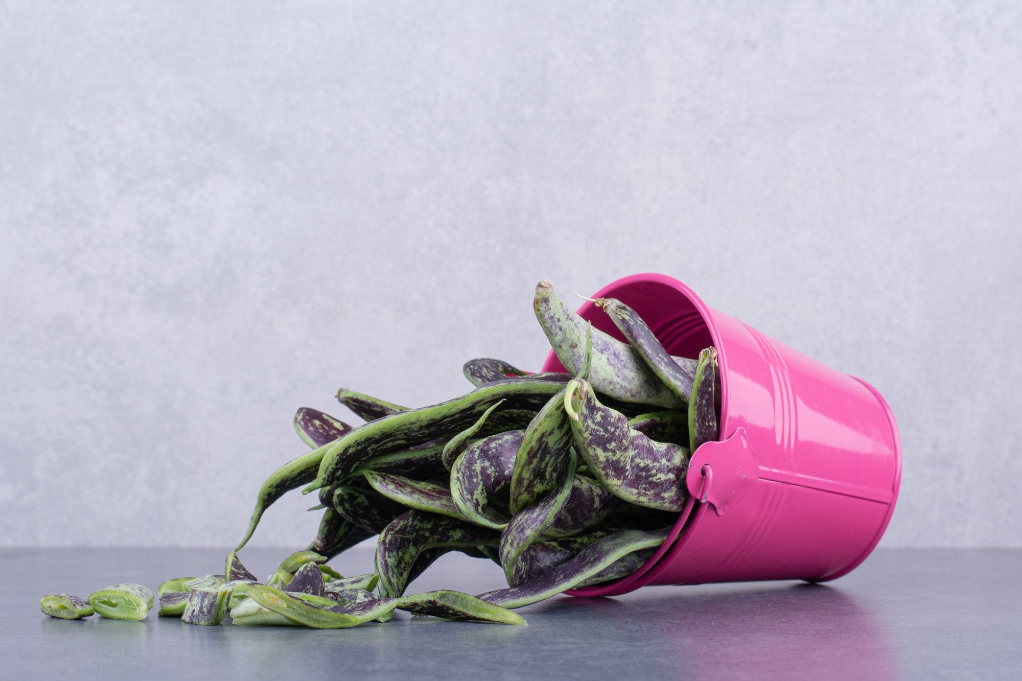 Why Is My Plant Dying: Common Causes