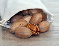 pecan
