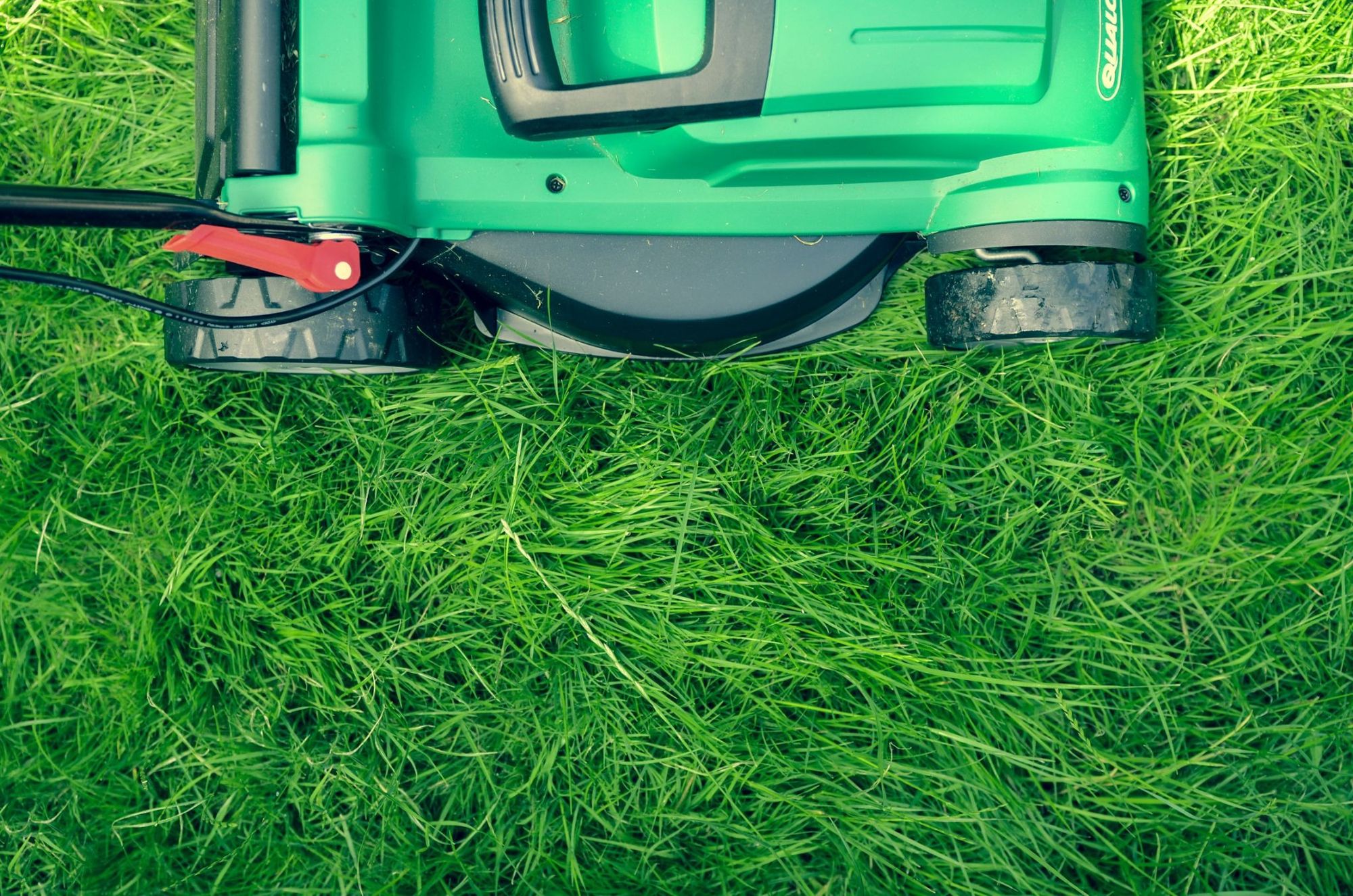 Best Time to Mow Lawn – Keep Mower Blades Sharp