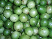 imbu