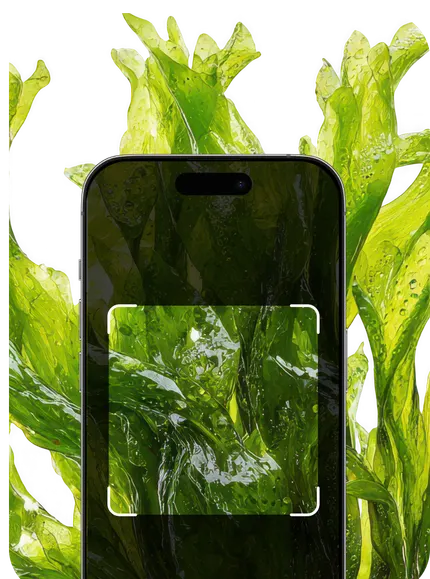 Aquatic Plant Identification – Hero Mobile
