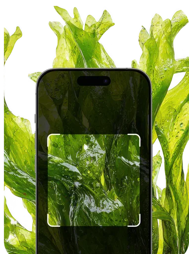 Aquatic Plant Identification – Hero Mobile