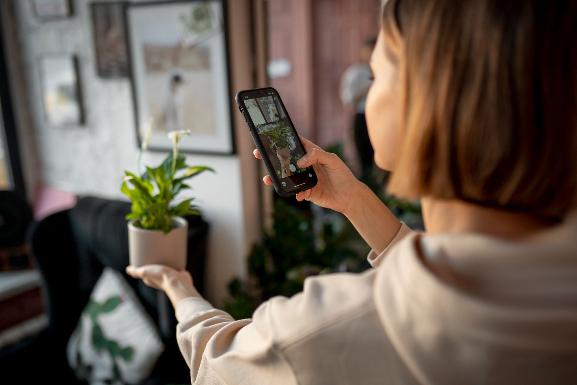 How to use plant identifier - What Features Should a Good Plant ID App Have?