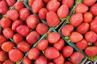 beach strawberry