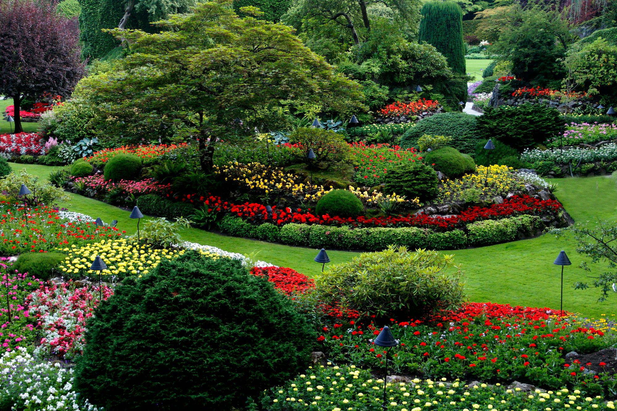 How to Group Plants in Landscaping