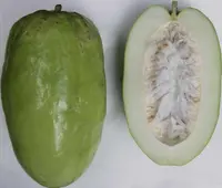 giant granadilla (Passiflora quadrangularis) plant